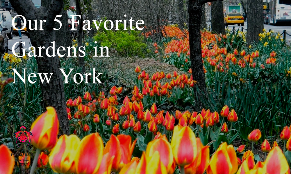 Stop and Smell the Flowers at our 5 Favorite Gardens in New York