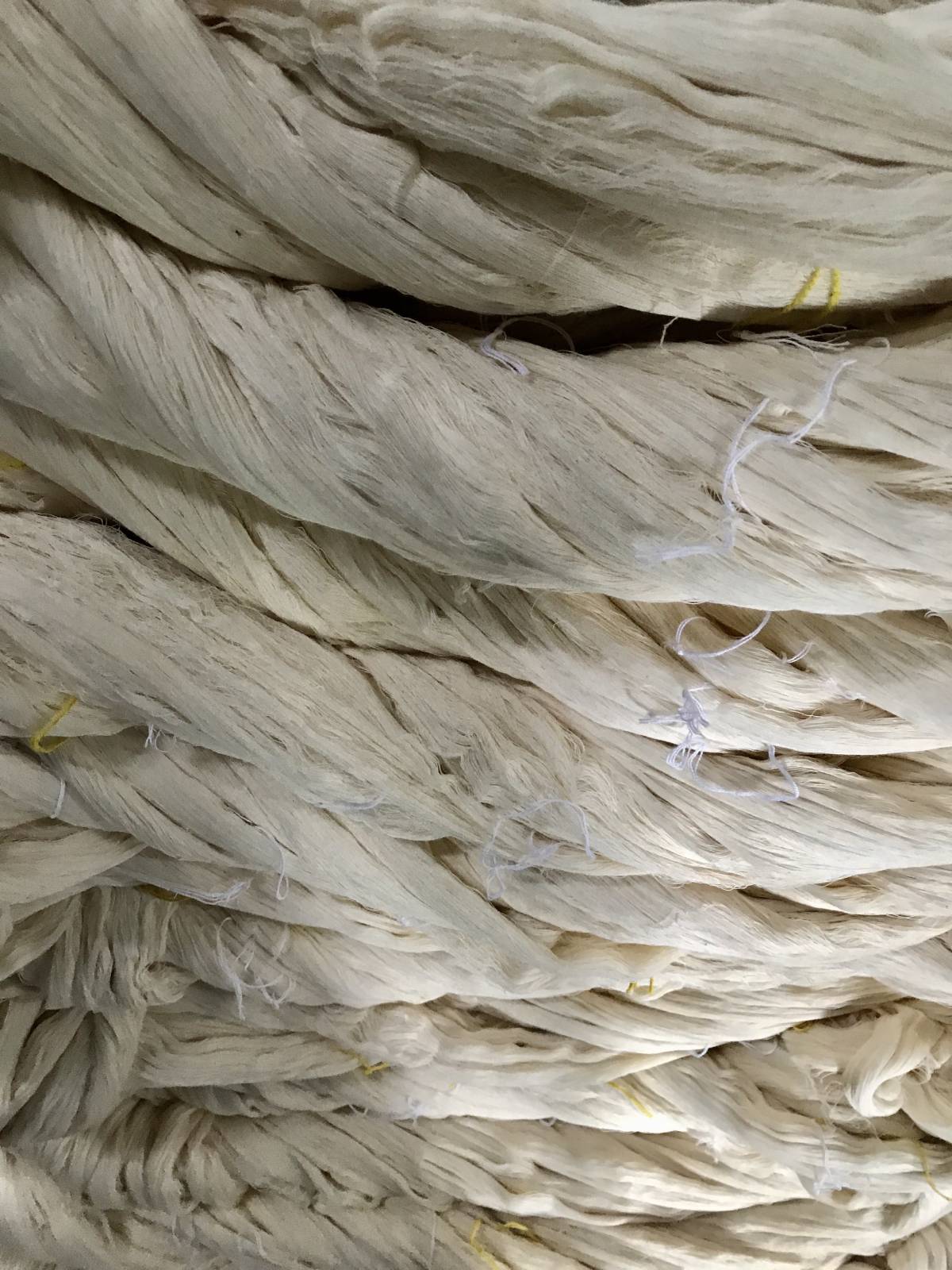 Our Story – Roopa Pemmaraju