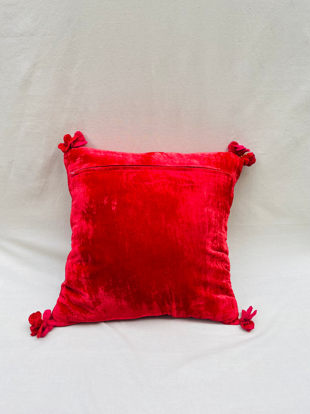 Scarlet Silk Velvet Parakeet Throw Pillow Cover